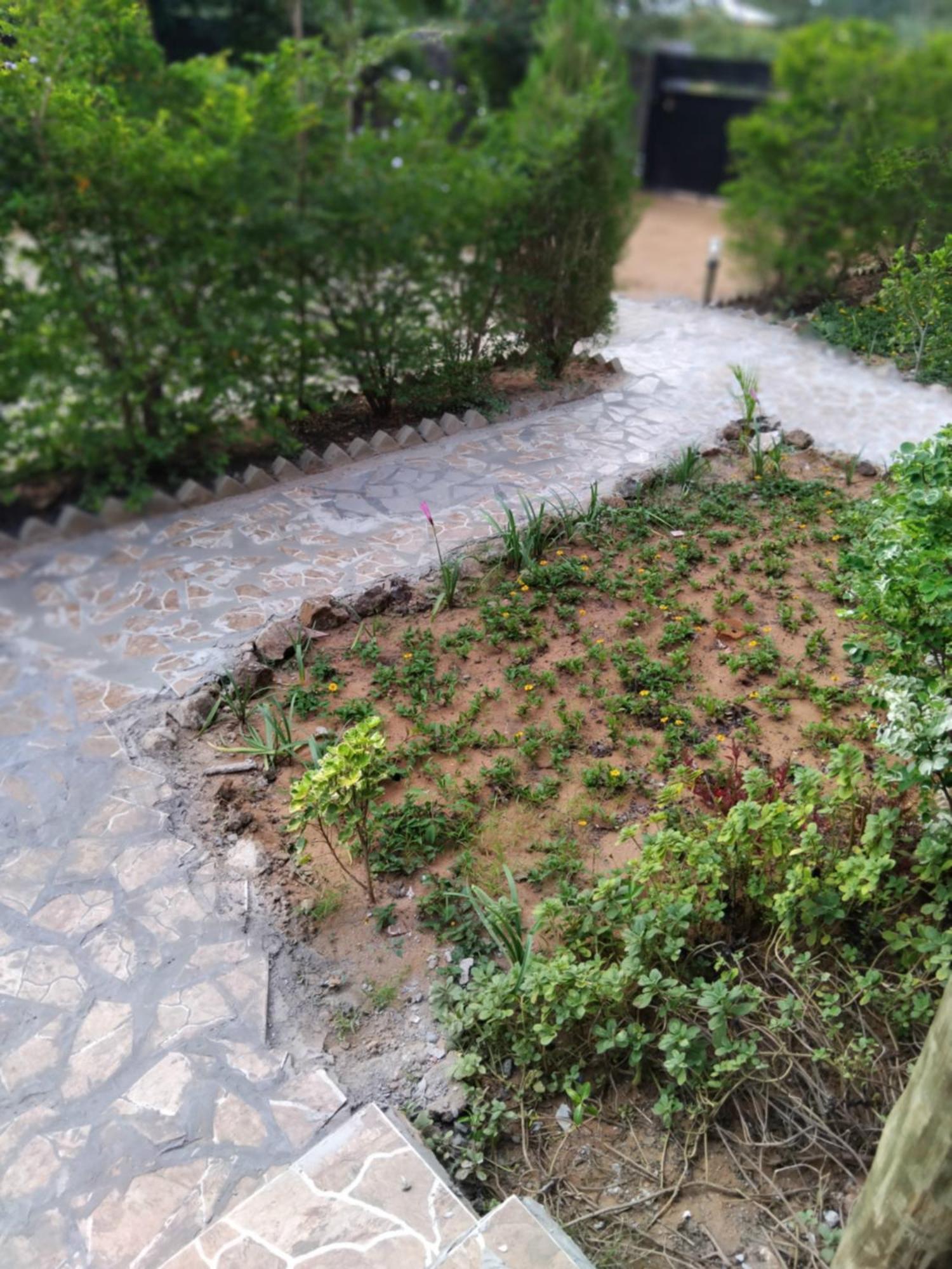 Sunshinevibe Guest House Kasane Εξωτερικό φωτογραφία