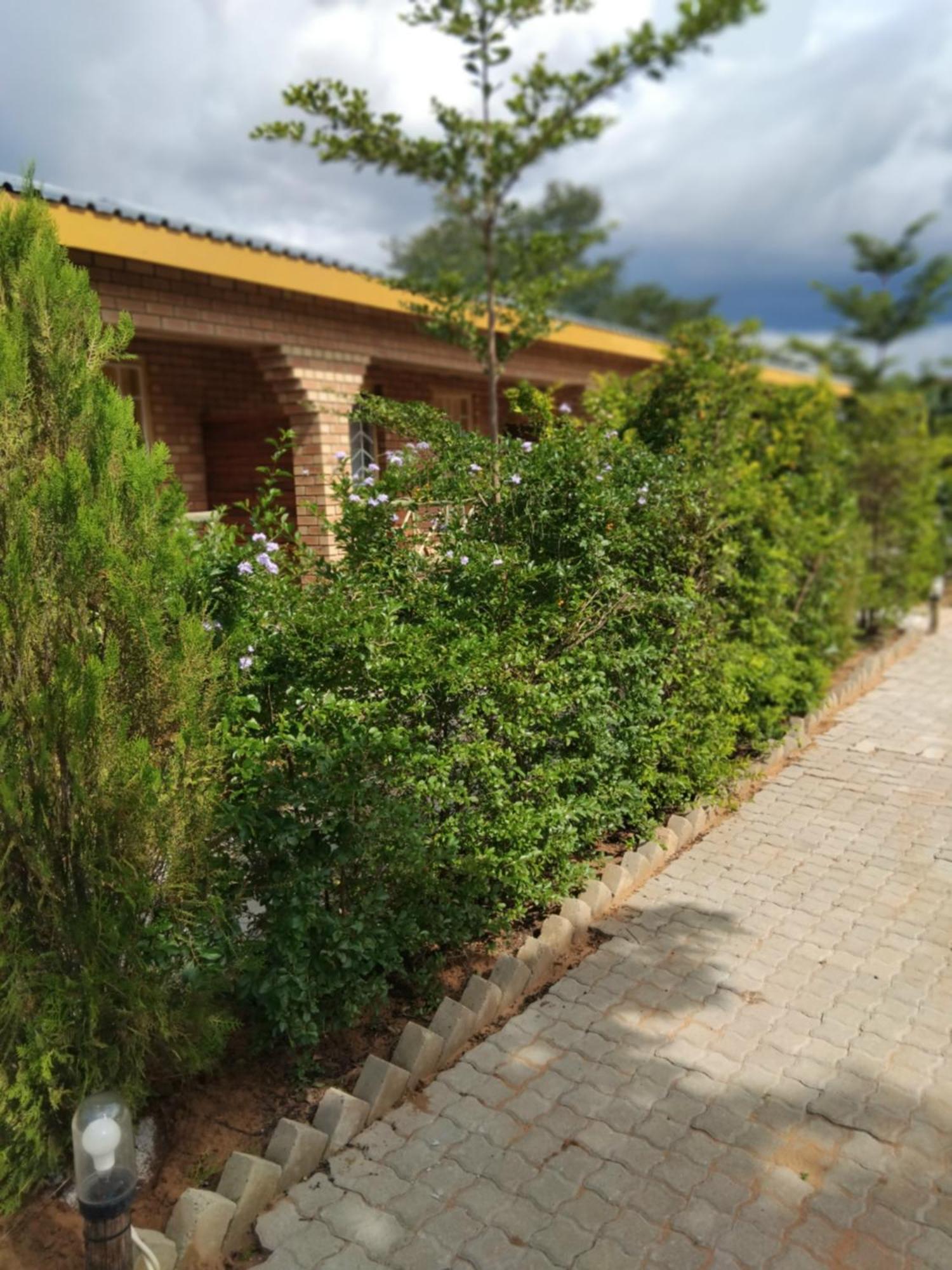 Sunshinevibe Guest House Kasane Εξωτερικό φωτογραφία